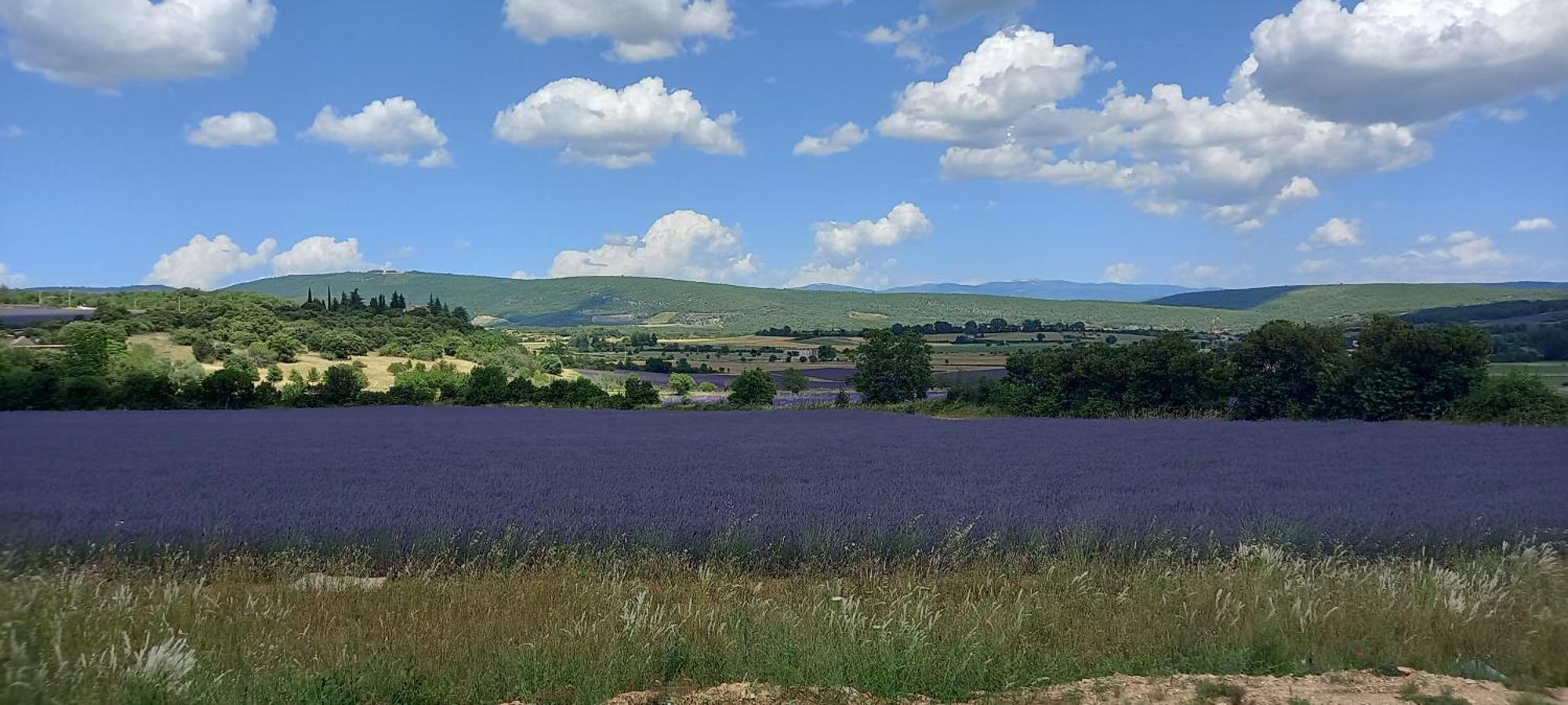 Gite La Mosaique Dauphin Екстериор снимка